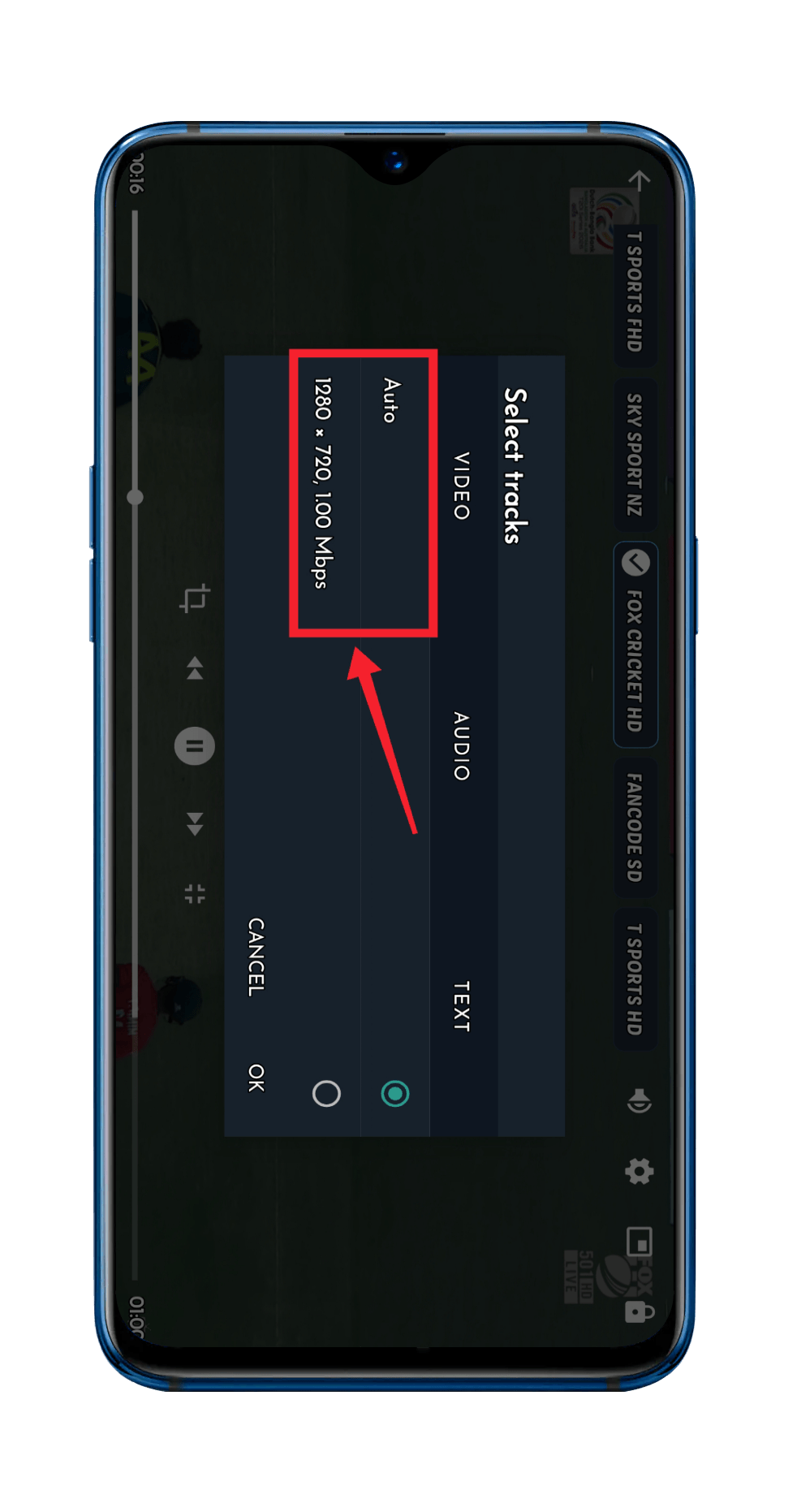 Auto-Quality Adjustment Prevents Buffering