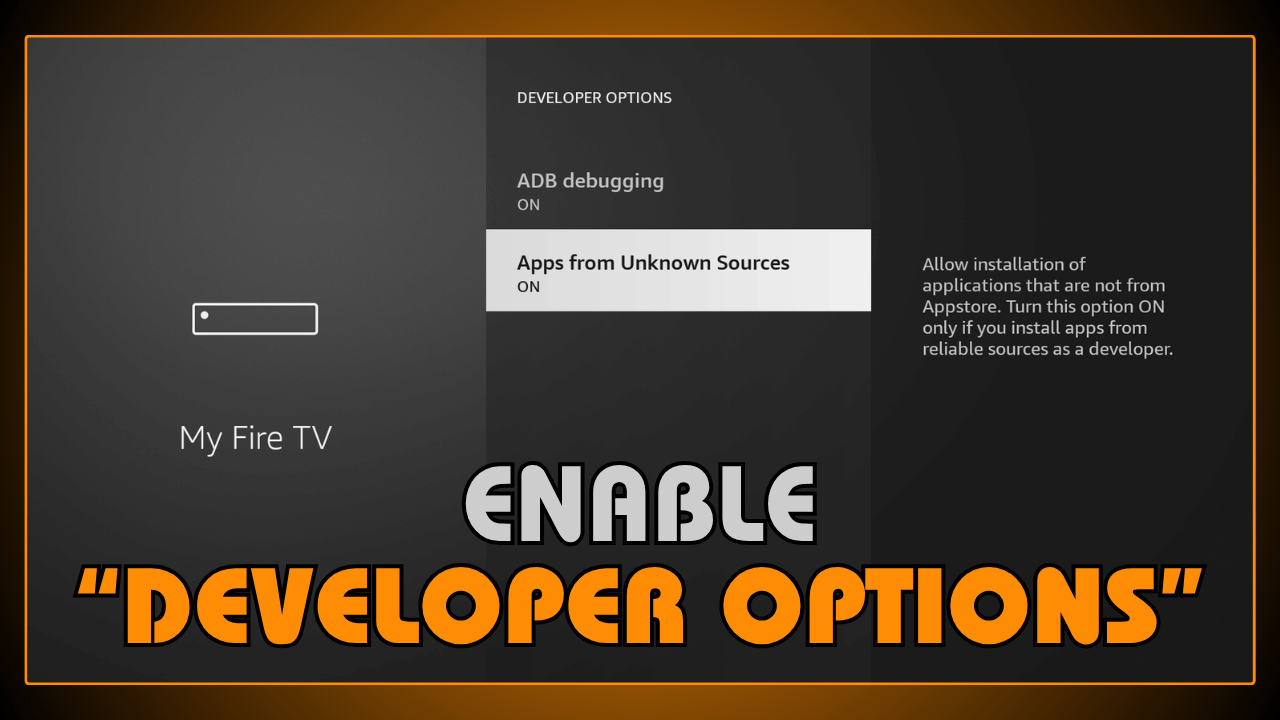 Enable Developer Options